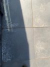 IMG_1591.jpeg