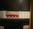 IMG_4877.jpeg
