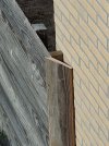 20260725_174859.jpg