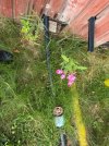 IMG_3779.jpeg