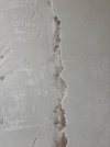 IMG_2339.jpeg