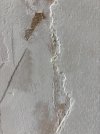 IMG_2340.jpeg