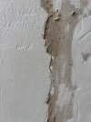 IMG_2341.jpeg