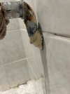IMG_8096.jpeg IMG_8096.jpeg