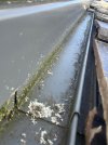 IMG_6268.jpeg