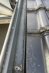 IMG_6270.jpeg