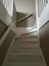 IMG_2331.jpeg