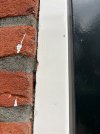 IMG_2013.jpeg
