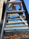 IMG_2877.jpeg