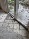 IMG_1447.jpeg IMG_1447.jpeg