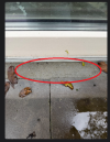 beton randje.png