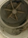 IMG_2395.jpeg