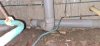 IMG-20210116-WA0009.jpeg
