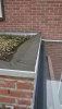 DSC_0371.JPG DSC_0371.JPG