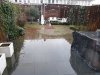 20210129_094557.jpg 20210129_094557.jpg