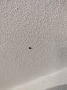 IMG_20210201_193125.jpg