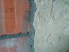 IMG_20210131_144205125.jpg