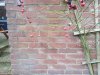 20210111_114825.jpg
