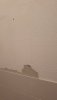 muur toilet 2.jpeg