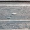 20210313_123626.jpg 20210313_123626.jpg