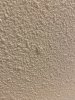 D81A3BEE-EA19-4CBC-8E9E-09996E2A2357.jpeg