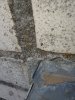 20210318_134833.jpg