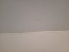 20210322_174711.jpg 20210322_174711.jpg