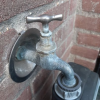 afbeelding_2021-03-26_180323.png