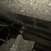 IMG_1724.jpeg