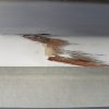 20201105_105807.jpg
