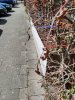 IMG_20210418_152459_1.jpg