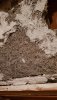 20200807_225912.jpg