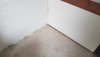 thumbnail_20200815_081613.jpg