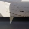20201028_093008.jpg