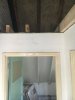 959B1419-5CFC-44AD-ABD0-960217A43BA9.jpeg