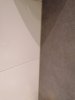 IMG_20210605_162011.jpg