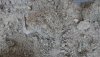 DSC_0887.JPG DSC_0887.JPG