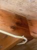 93BD1381-EBCD-48B3-A525-D8C020AED9D2.jpeg