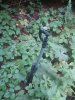 20210804_203359.jpg 20210804_203359.jpg