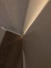 DBFEB34D-1F80-4B0C-BA41-B7C3768B531C.jpeg