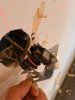 20210824_155254.jpg 20210824_155254.jpg