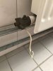 Radiator.jpg