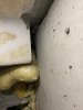513B3F64-1895-4DCA-BBFD-5AB86B522294.jpeg