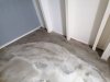 IMG_20210918_100211.jpg
