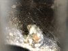thumbnail_IMG_2159.jpg