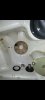Screenshot_20210924-150021_Gallery.jpg