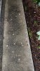 20210926_223132.jpg
