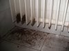 2018-10-19 Radiator douche 6.JPG