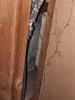 20211020_170621.jpg