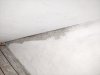 IMG_20200816_164503.jpg